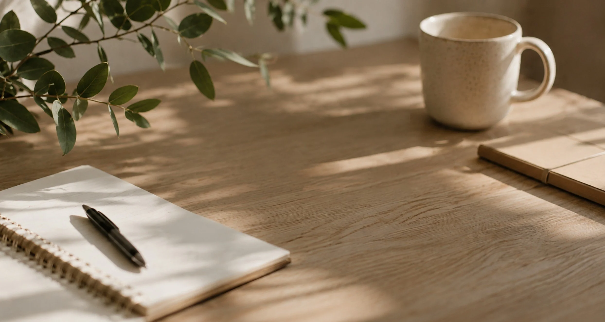 A wooden desk with a spiral notebook, a black pen, a white mug, a closed light wood notebook, and some green leaves casting shadows.