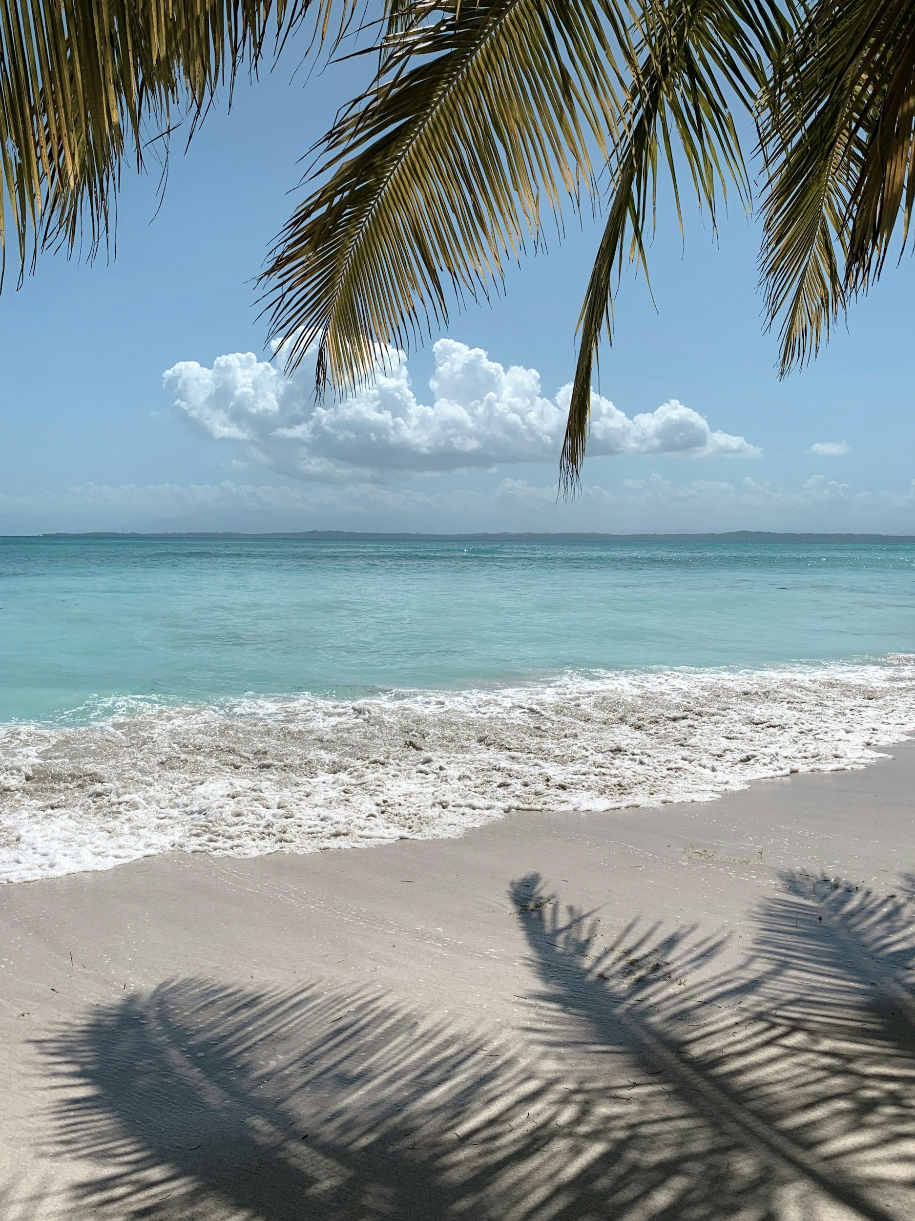 Beach with clear turquoise water, white sandy shore, and palm tree shadows cast on the sand, with a view of cloudy sky and distant horizon.