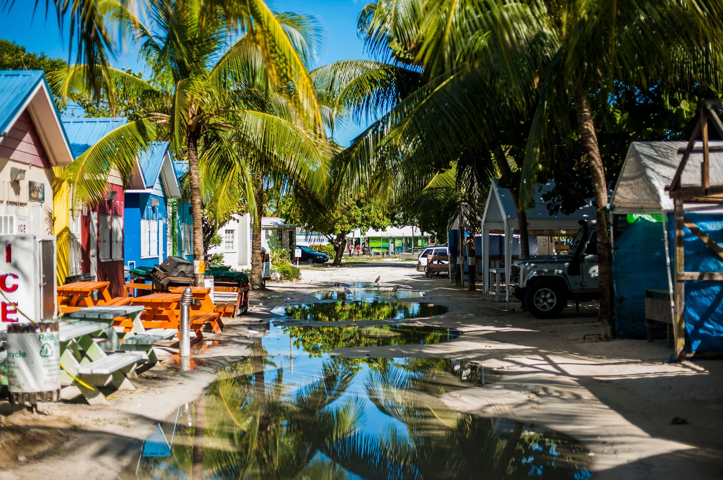 colourful houses and shops in Barbados palm trees busy street shopping ice machine blue sky West Indies