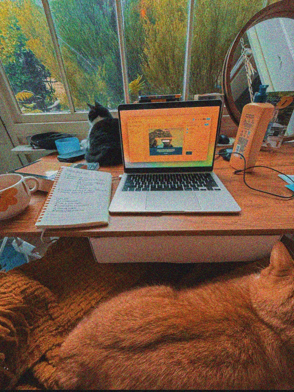A cozy home workspace with a wooden desk. On the desk, there's a laptop displaying an animated scene, a spiral notebook with handwritten notes, a ceramic mug, and a small container with a lid. A black and white cat sits on the left side of the desk near a closed window with a view of trees outside. To the right of the laptop, there's a yellow rectangular object, possibly a device or container, and various other office supplies. The background includes a large circular mirror leaning against the wall, a chair, and a pile of miscellaneous items.
