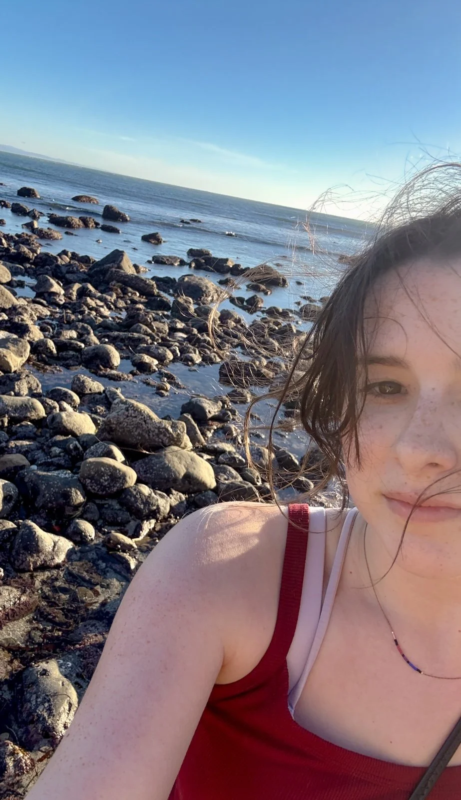 A girl with wet hair and freckles taking a selfie on a rocky beach with the ocean and blue sky in the background.