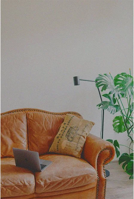 Living room with a tan leather sofa, a cushion, a laptop on the sofa, and a large green plant in the corner. A black floor lamp is behind the plant.