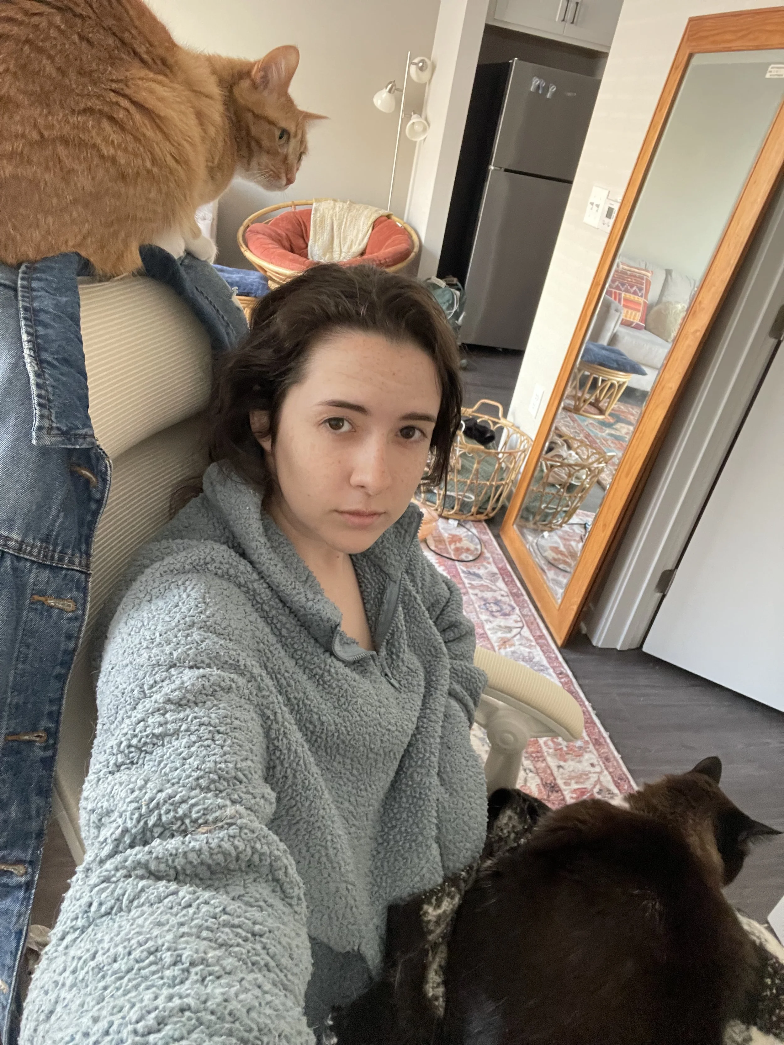A woman with dark hair and a gray fleece hoodie sitting on a chair, with a ginger cat on her shoulder and a large black and brown dog in front of her inside a living room.