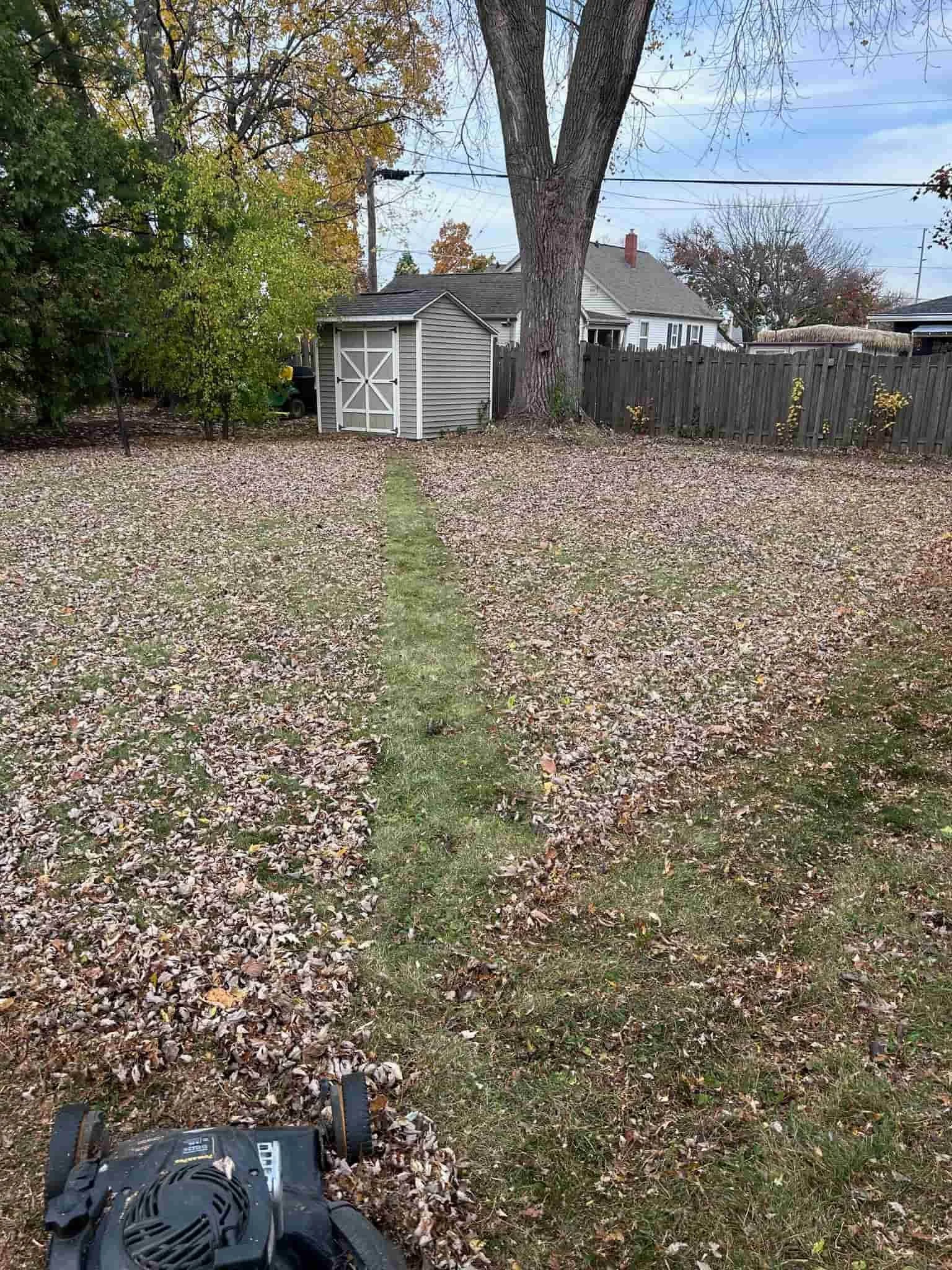 View of a backyard yard with a large tree, fallen leaves on the ground, a wooden shed with white trim, a wooden fence, and a house in the background. There is also a portion of a lawnmower in the foreground.