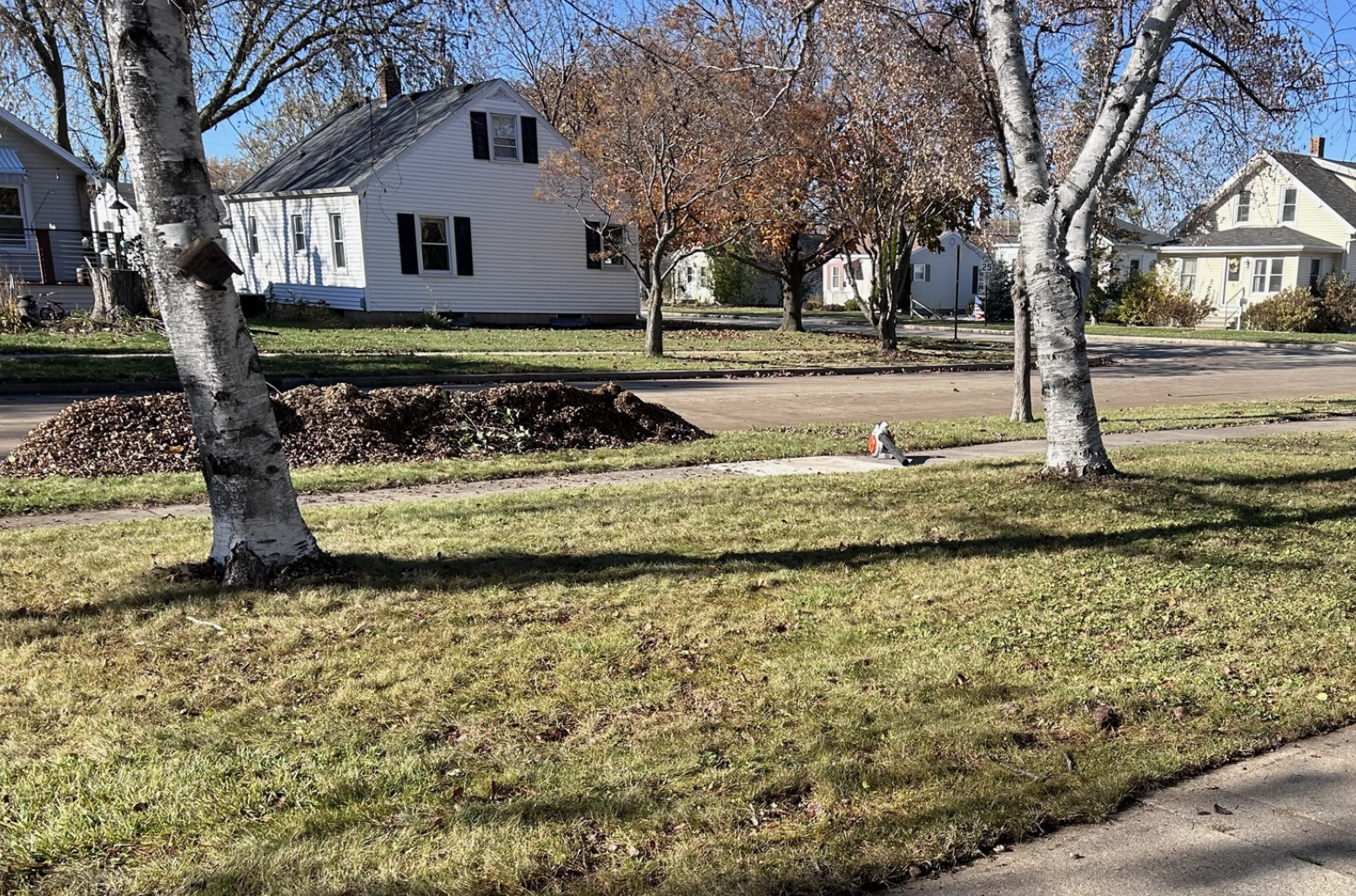 Residential neighborhood with houses, trees, a sidewalk, and a yard with grass. Leafless trees suggest fall or early winter.