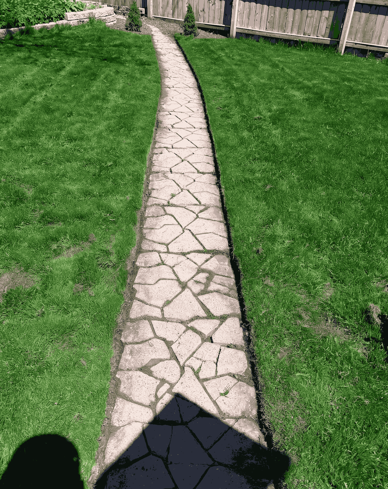 An edged stone pathway winding through a green lawn, with small trees and shrubs along the sides, enclosed by a wooden fence.