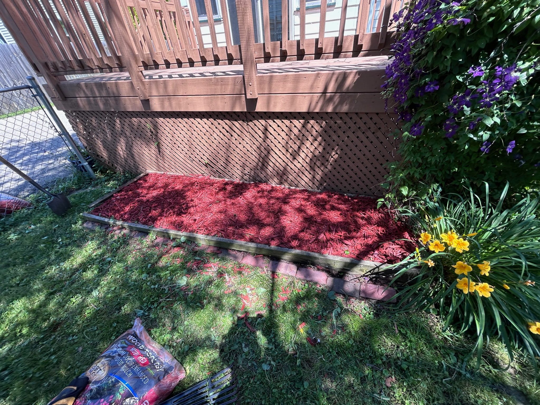 View of a backyard with a wooden deck, purple flowering bushes, yellow flowers, and green grass. There is a red mulch bed, a chain-link fence, and a bag of charcoal on the ground.