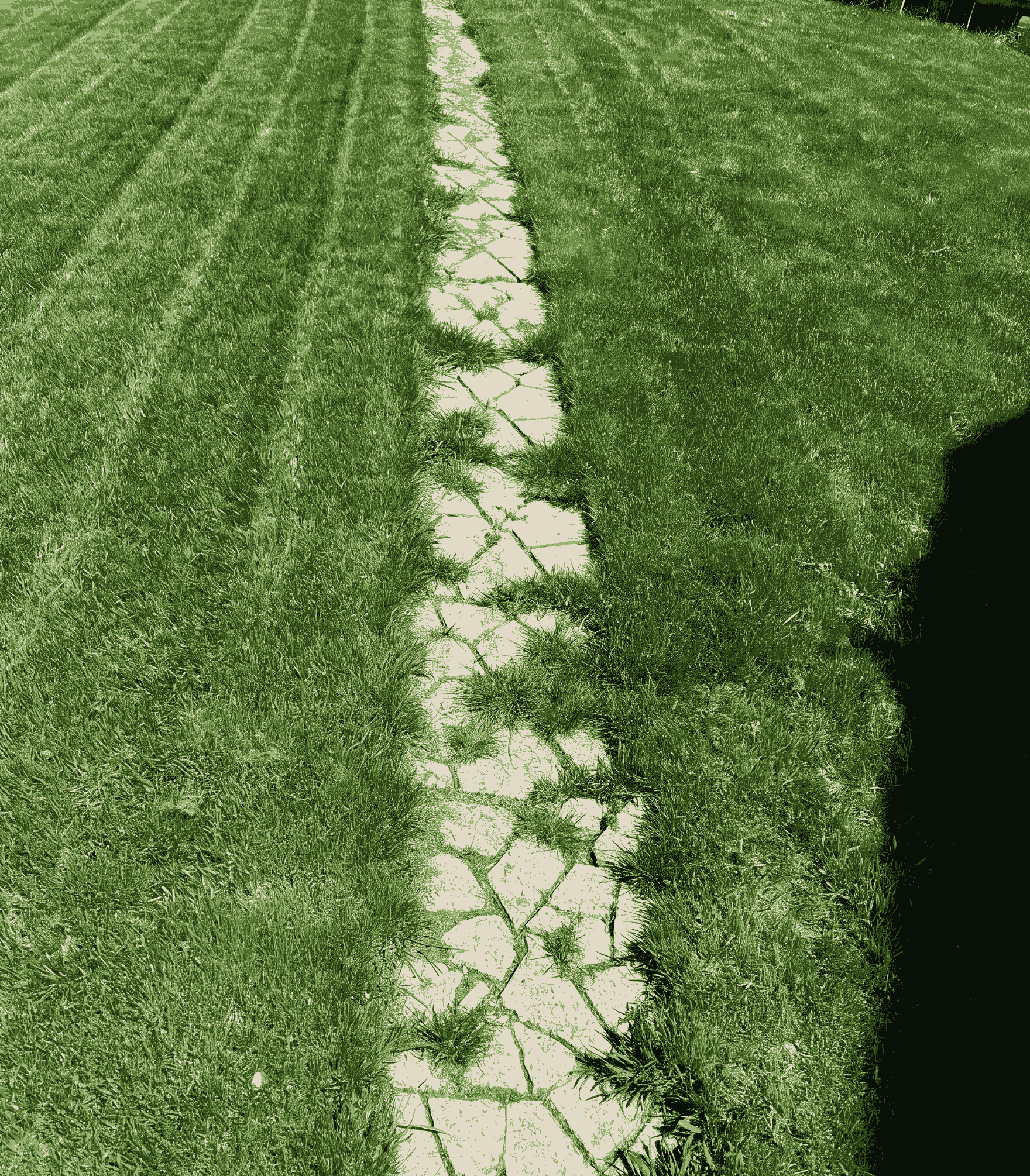 A narrow concrete pathway runs through a grassy field with trees on both sides.