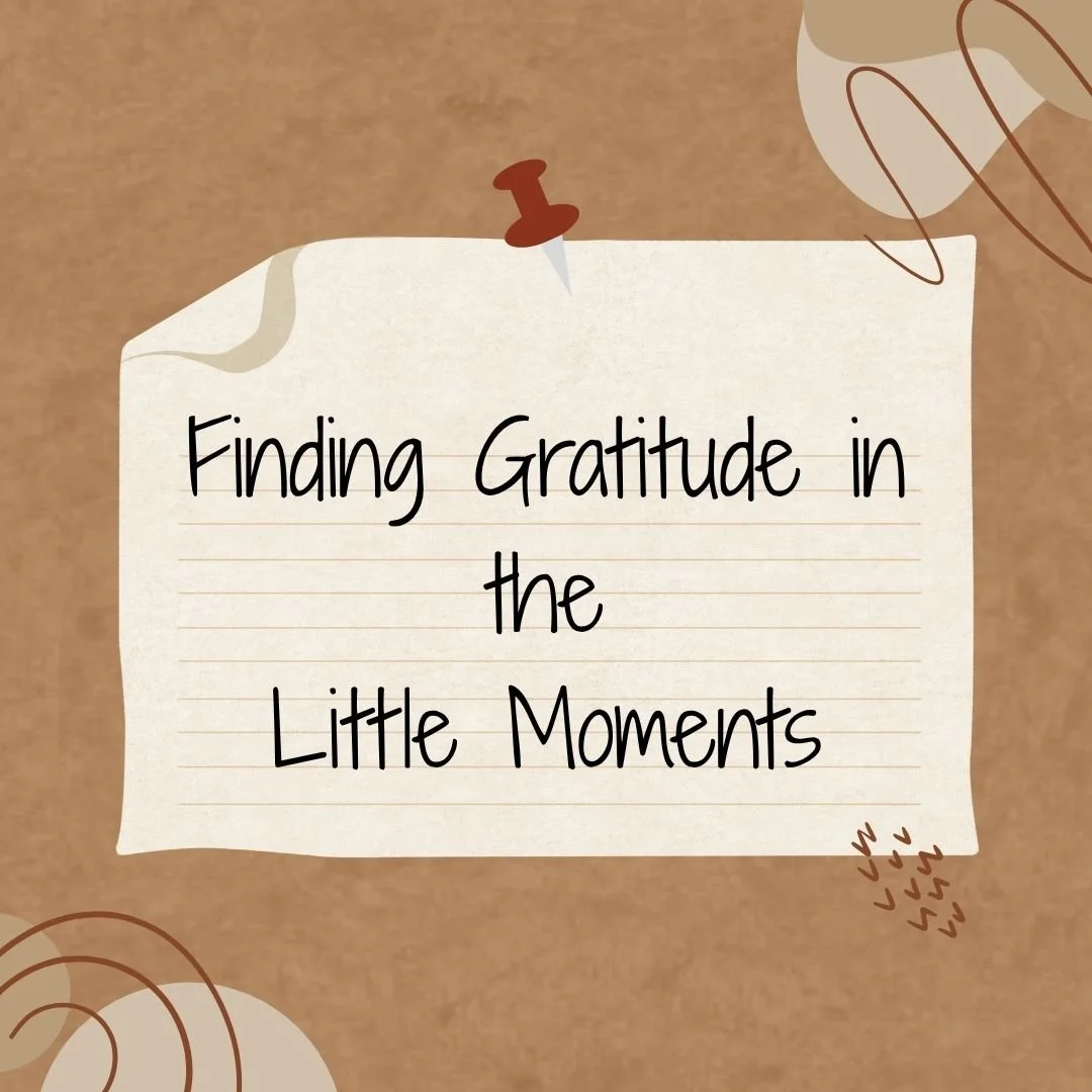 Finding Gratitude in the Little Moments