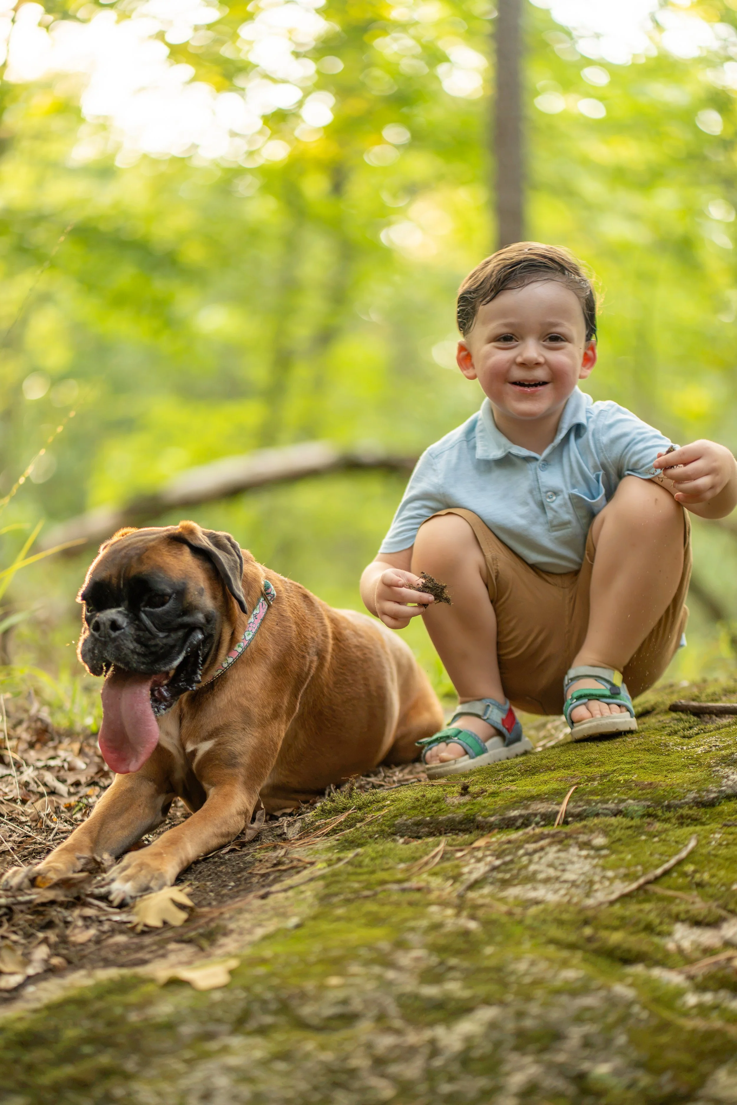 A young boy with brown hair, wearing a light blue shirt and tan shorts, crouches on mossy ground in a forest, smiling and holding a handful of dirt beside a large brown dog with a black face and a colorful collar, lying on the ground.