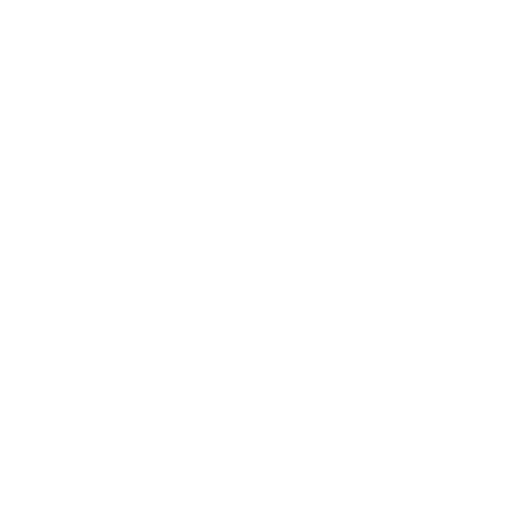 Icon für unseren Premium Drucker, der in der Fotobox verbaut ist