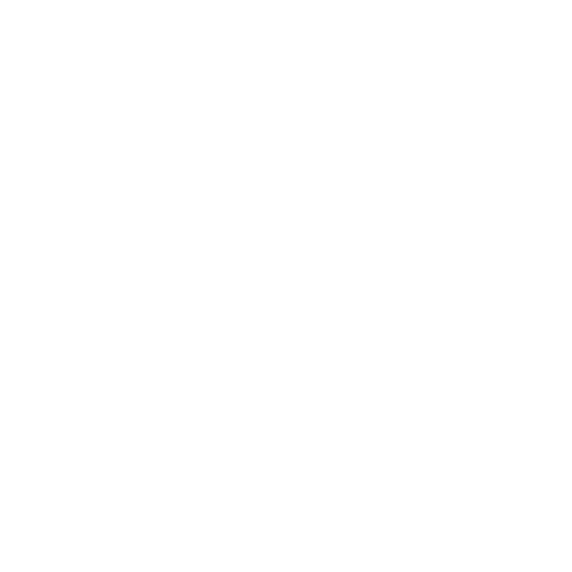 Icon für Kamera