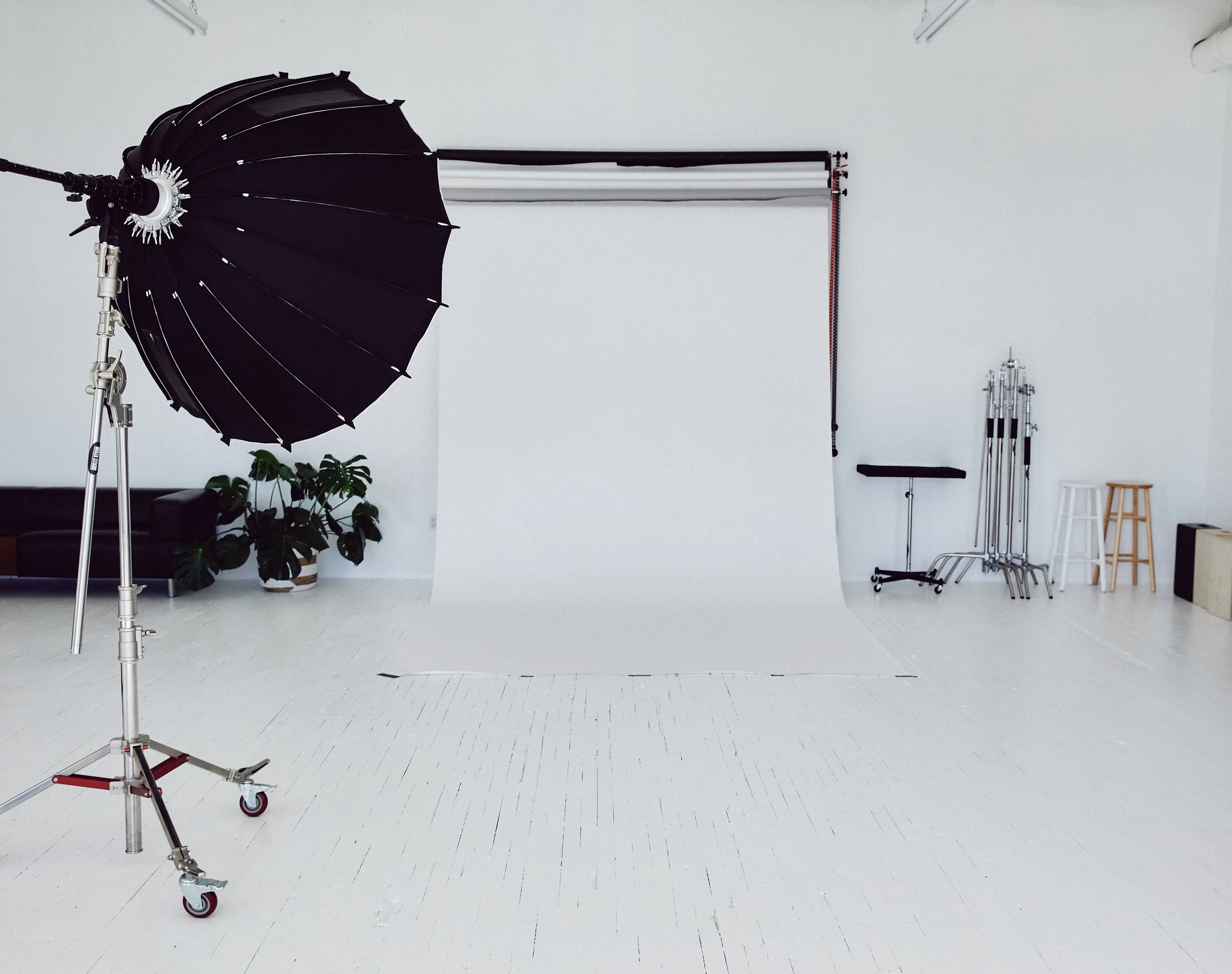 Photography studio with a large black studio umbrella on a stand, backdrop supports, and a white backdrop, with a small stool and some plants in the corner.