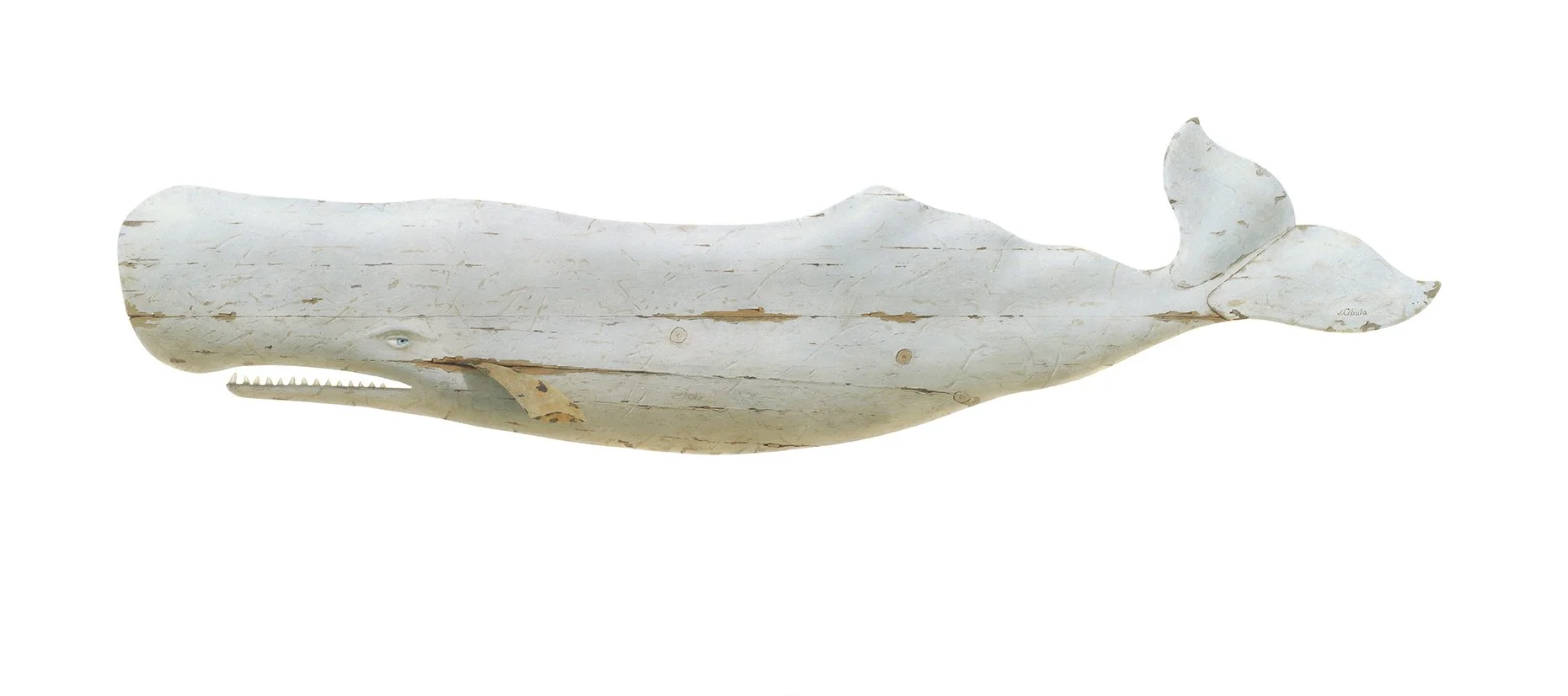 Whale #3