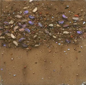 Tide Ebb
