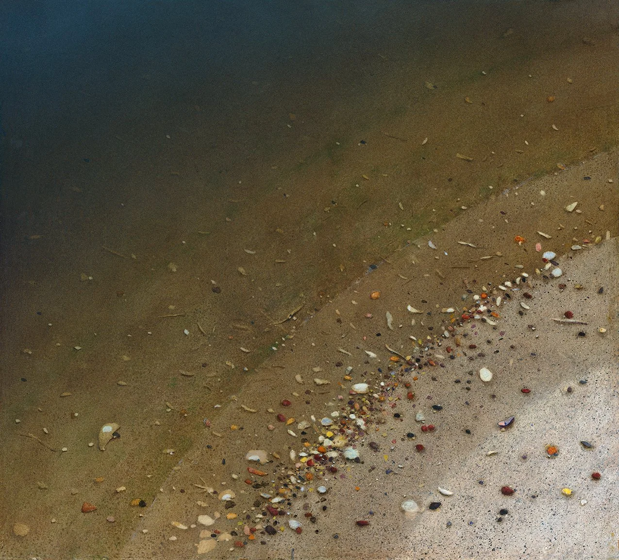 Tidal Pool