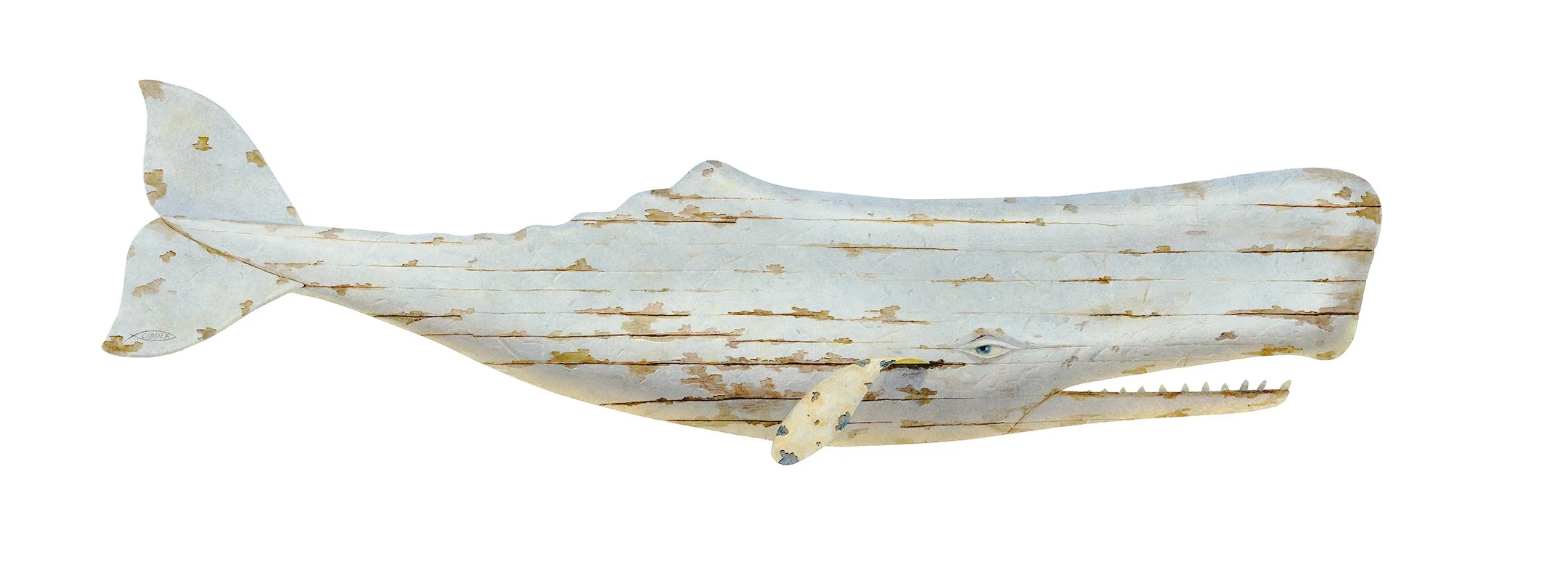 Whale
