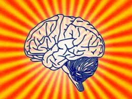 Common responses to birth trauma: understanding the nervous system