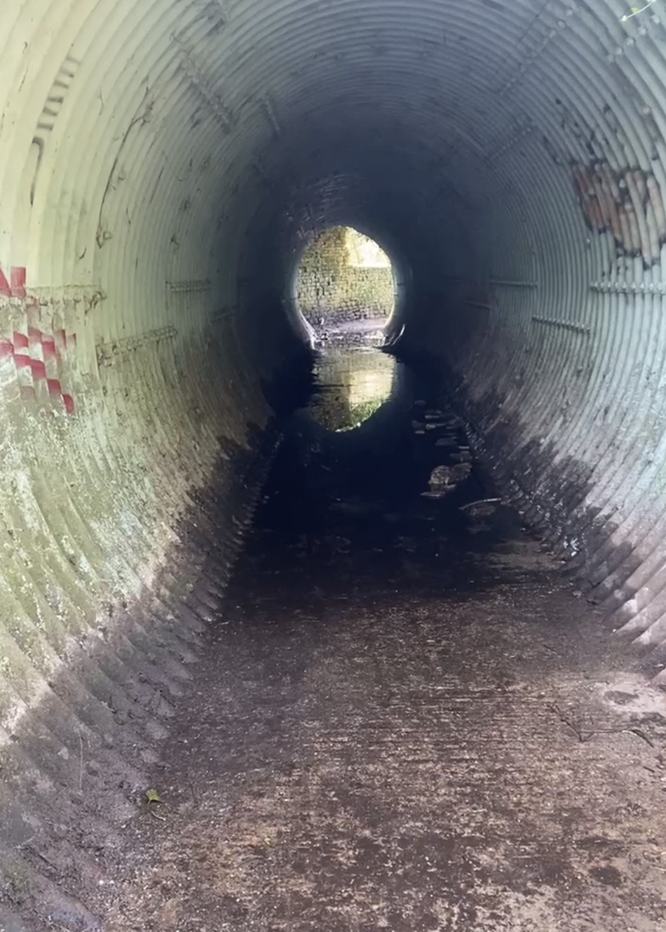 Down the rabbit hole of ‘reasonable’