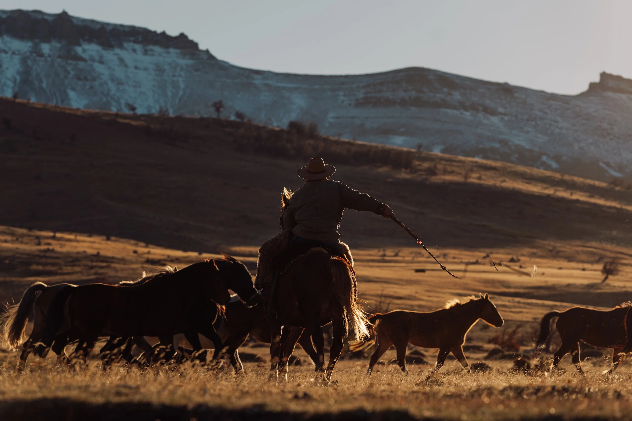 HORSE ROUNDUP (1 of 1).jpg