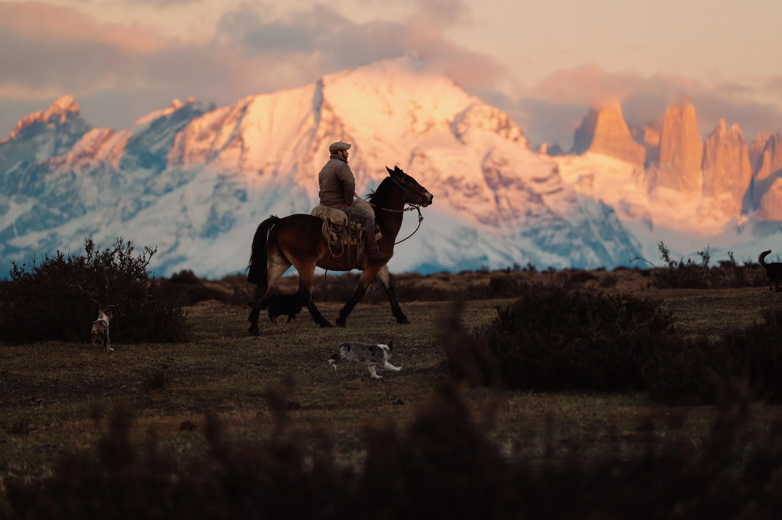 GAUCHO WITH TOWERS AND PUPPIES (1 of 1).jpg