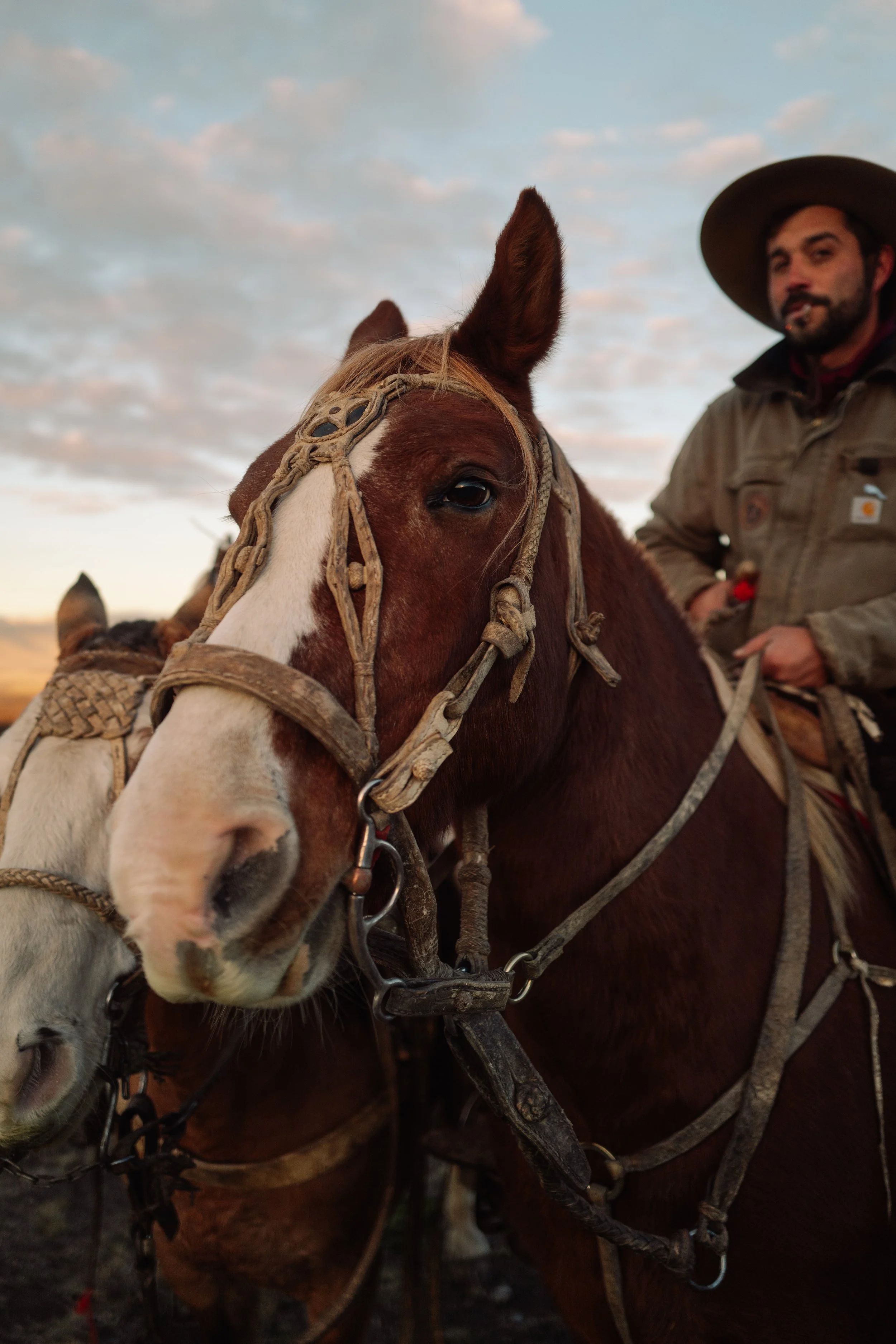 GAUCHO AND HORSE (1 of 1).jpg