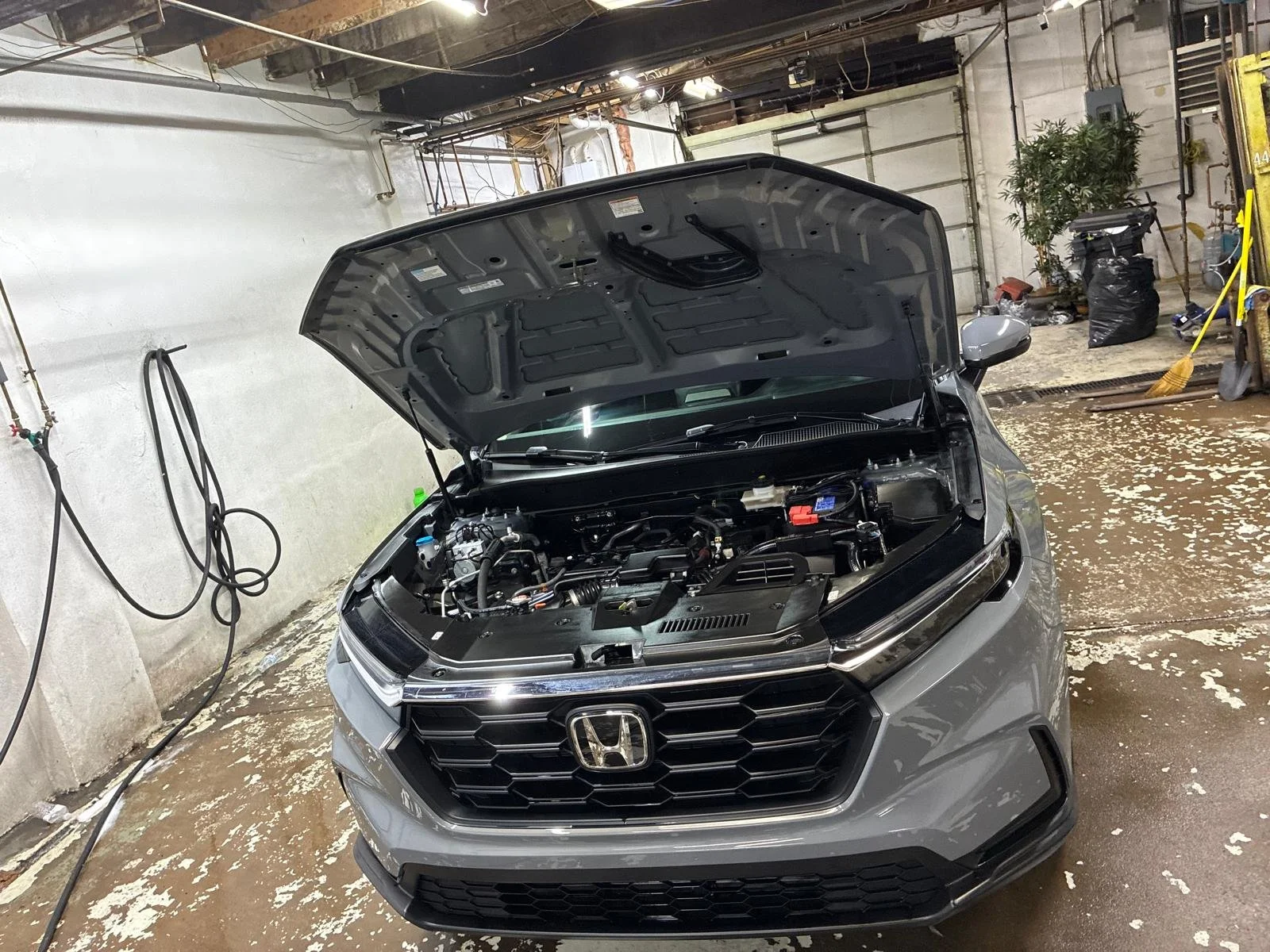 Lavado detallado o normal / Detailed vehicle washing