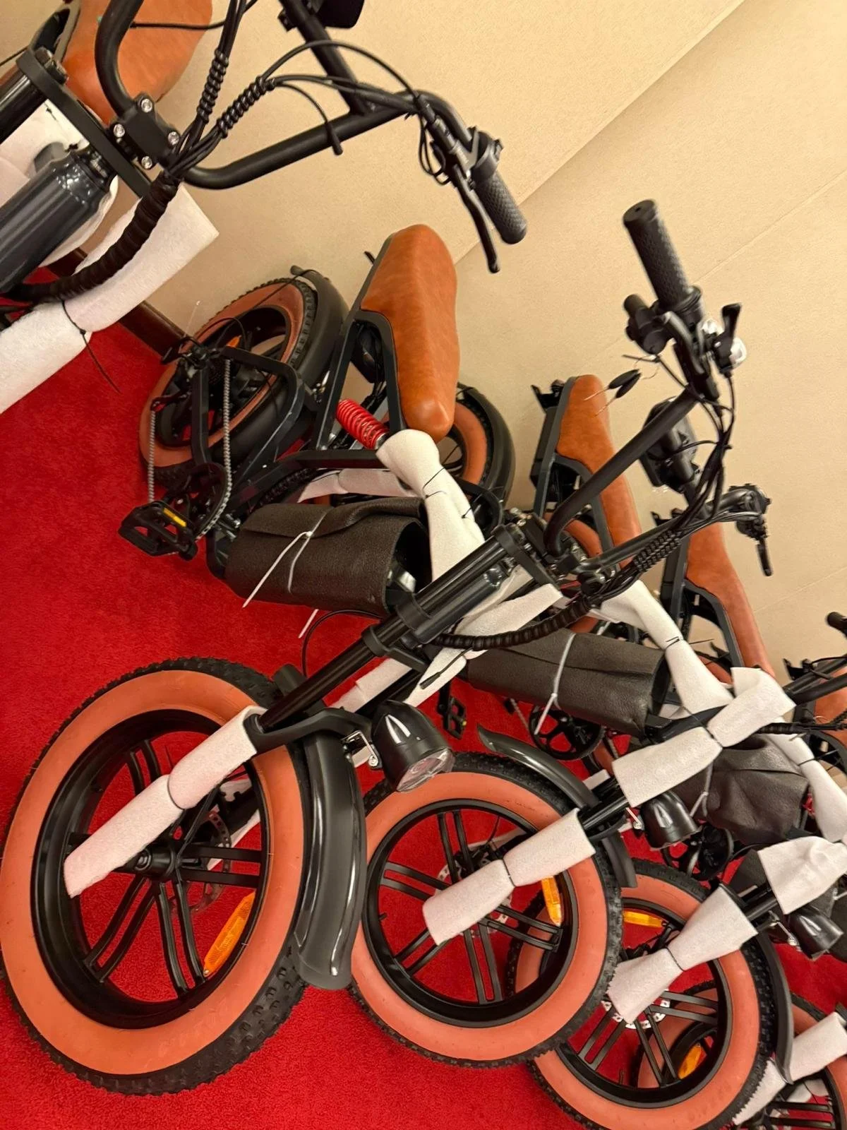 Bicicleta eléctronica / Electric bikes