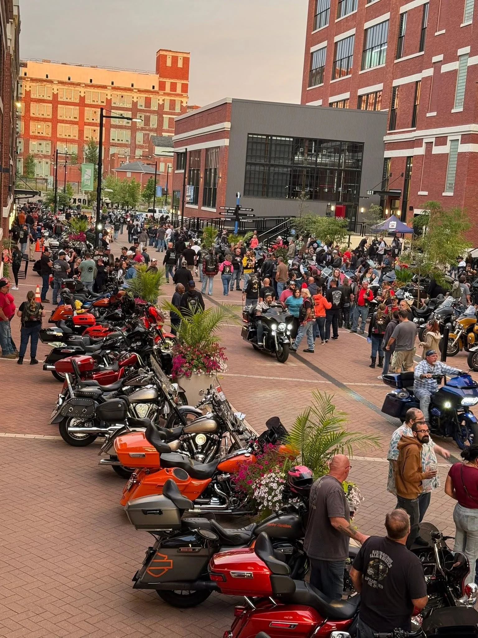 Bikes on  the bricks