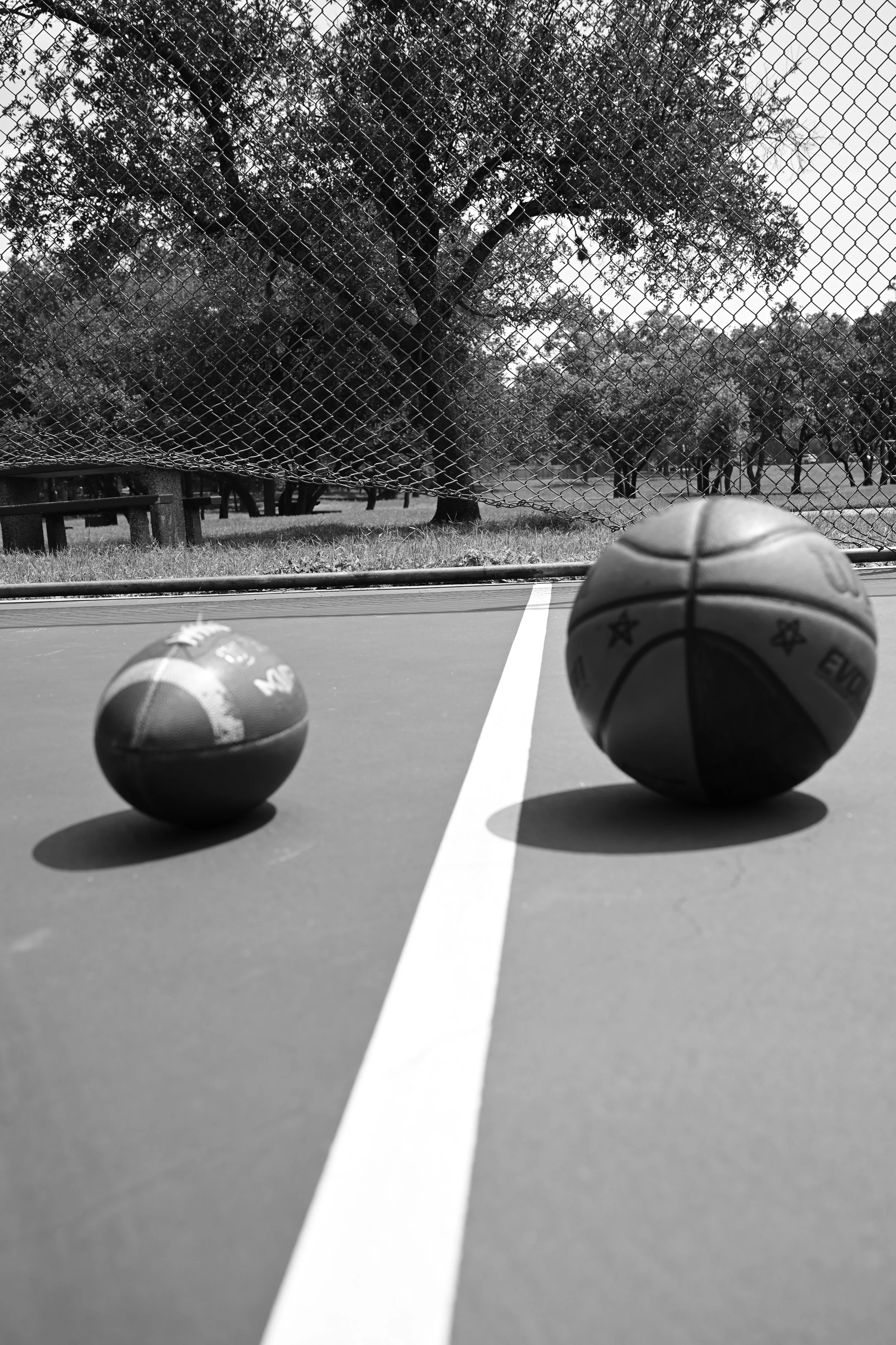 DSC_3925.JPG