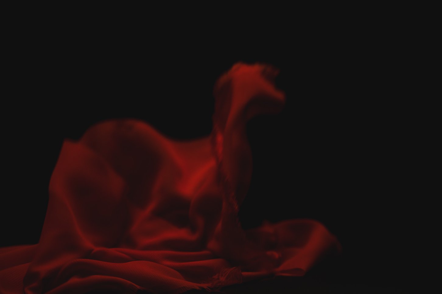 Red Fabric Shoot Image 1 copy.jpg