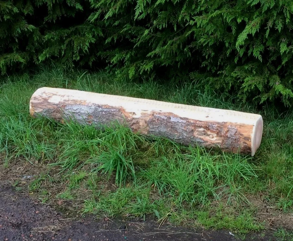 A fallen log with bark partially stripped, lying on grass near green bushes.