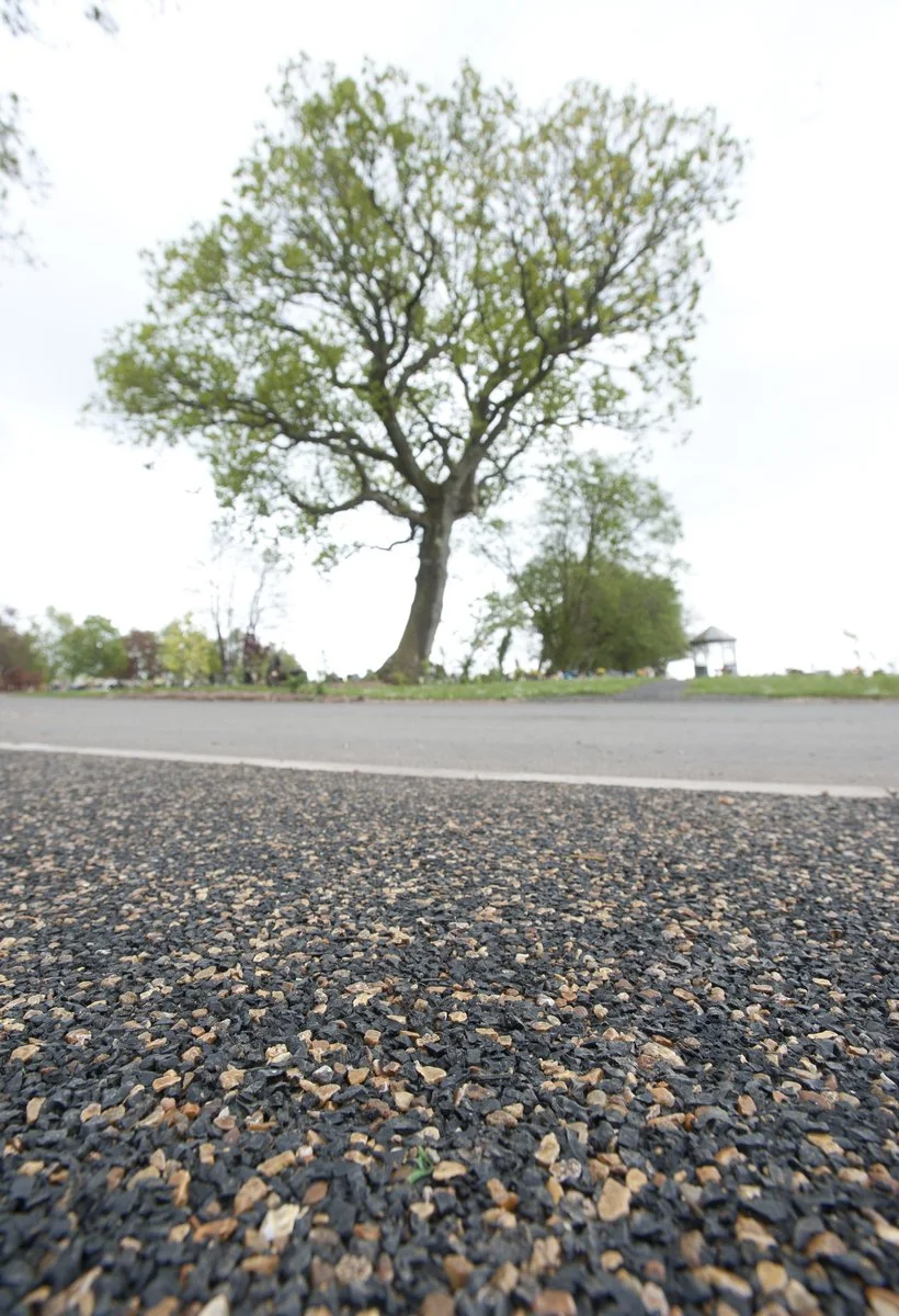 Close-up of a gravel pathway with a large tree and grassy area in the background.