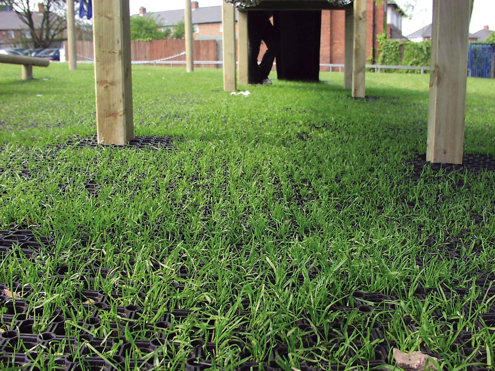 Close-up of green grass growing in a tray underneath a wooden structure, with two people standing in the background.