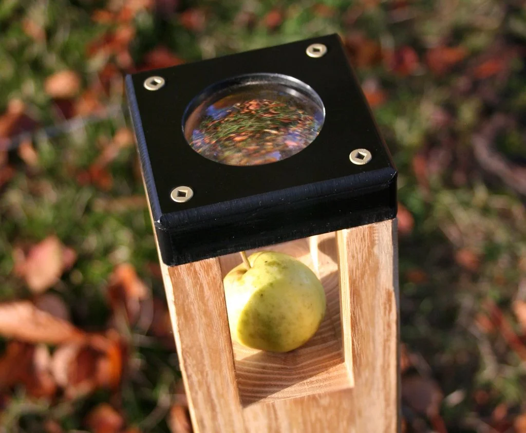 A small apple in a wooden display stand with a magnifying glass on top outside, with fallen leaves on the ground.