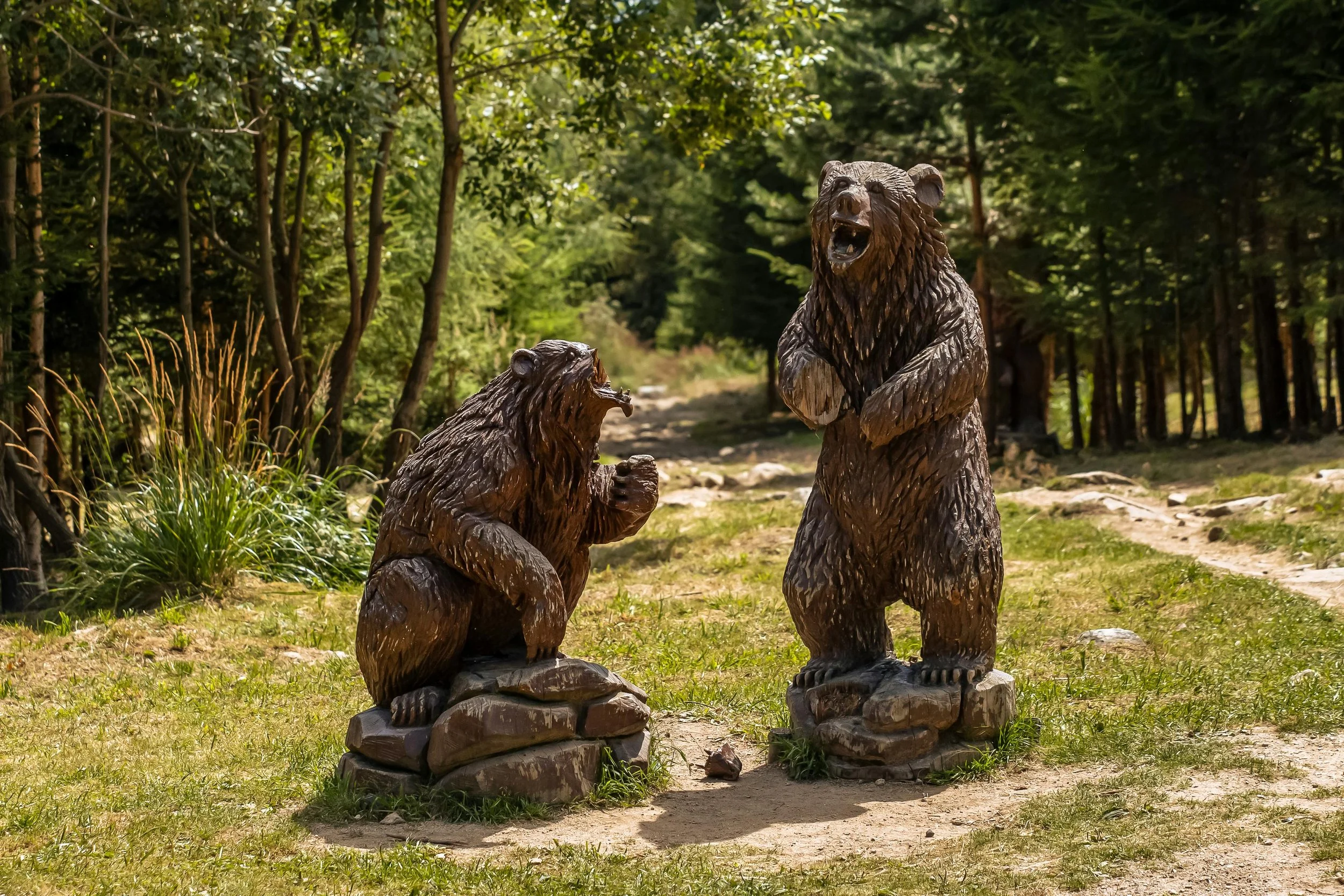 Wooden sculptures of two bears, one sitting on rocks and the other standing, in a forest setting.