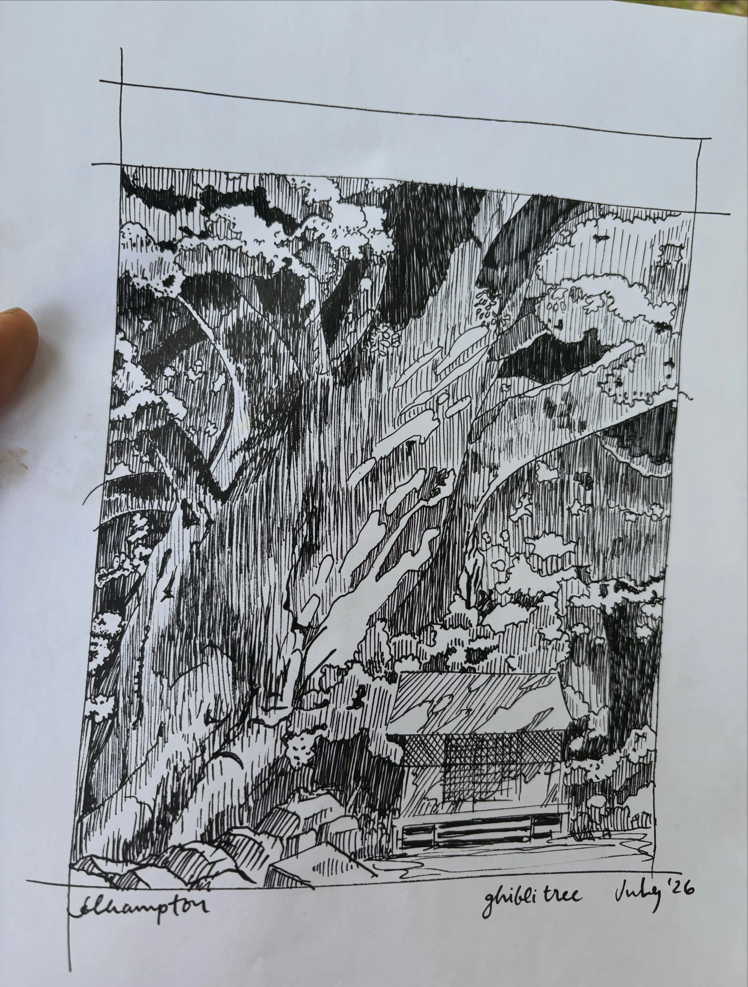 Three days of drawing trees and I&rsquo;m feeling like&hellip; I want more time. And I think I may have to do a day where I sketch MANY trees. I feel like I have a lot to learn when it comes to capturing these beauties. I&rsquo;ve already been told t