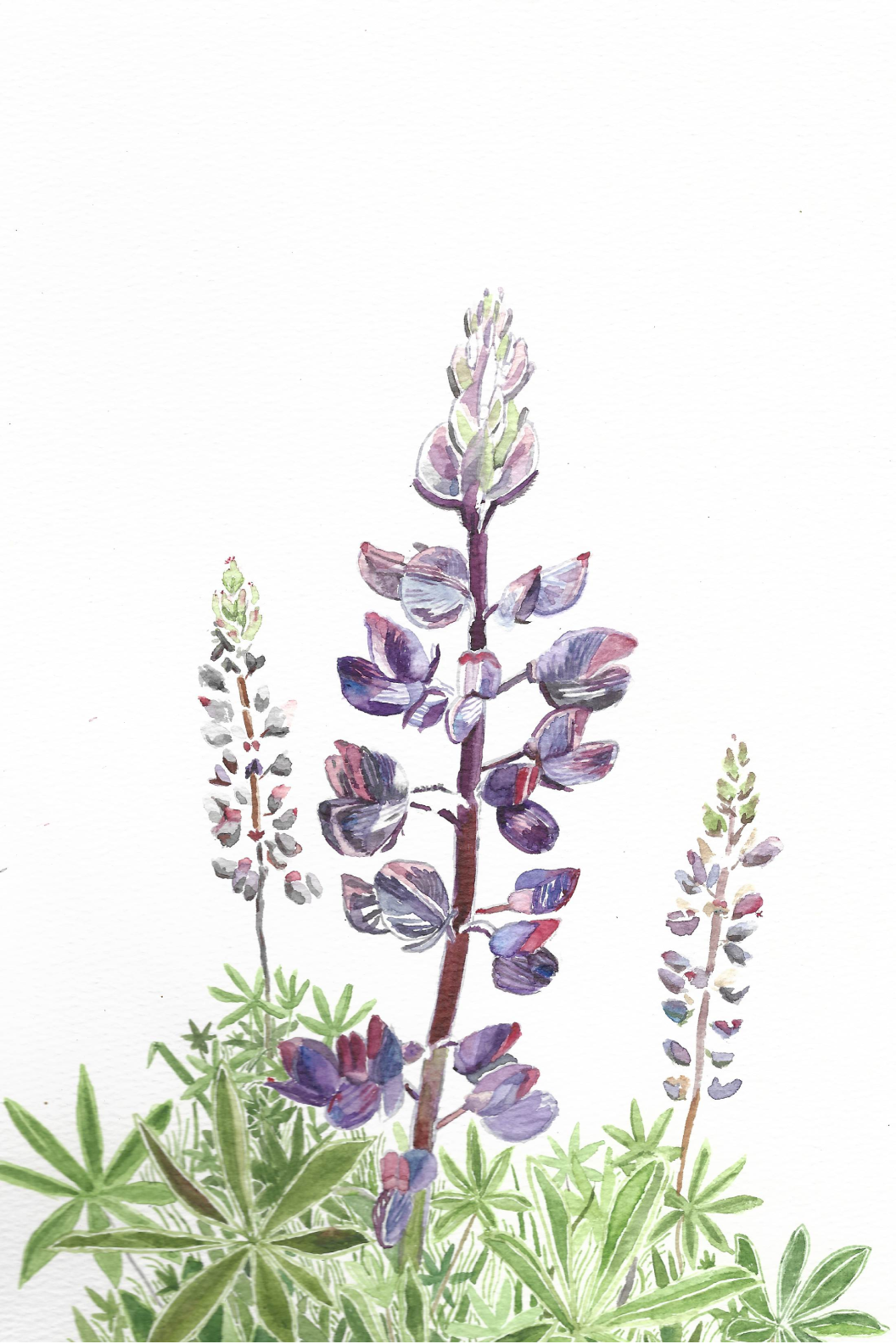 *CLOSED* June Wildflower Letter Club Bundle