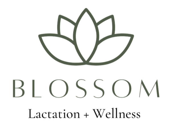 Blossom Lactation &amp; Wellness