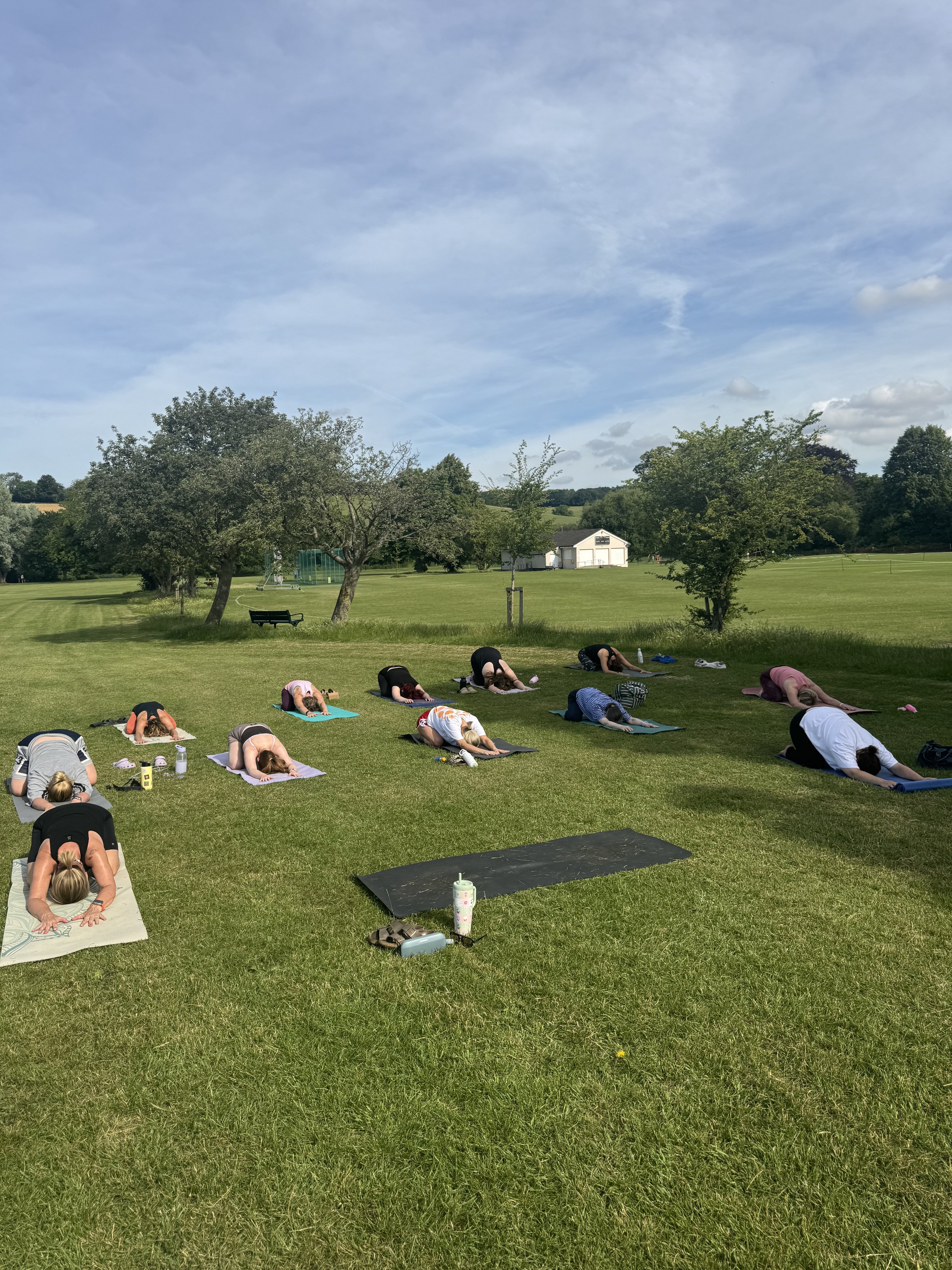 summer park yoga 