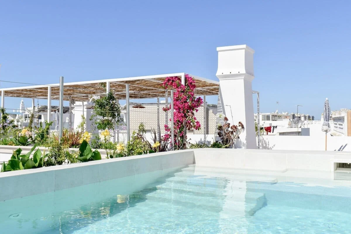 Rooftop pool with plants, a pink flowering vine, and city buildings in the background under a clear blue sky.