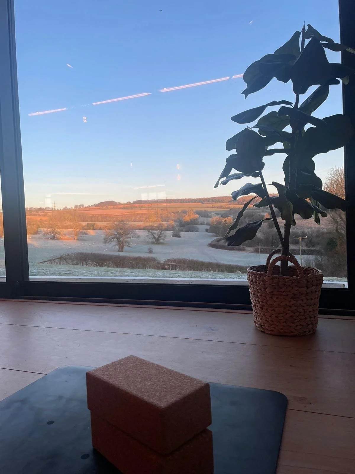 A view through a window of a rural landscape with trees, grassy fields, and rolling hills under a blue sky, with a potted plant on the windowsill in the foreground.