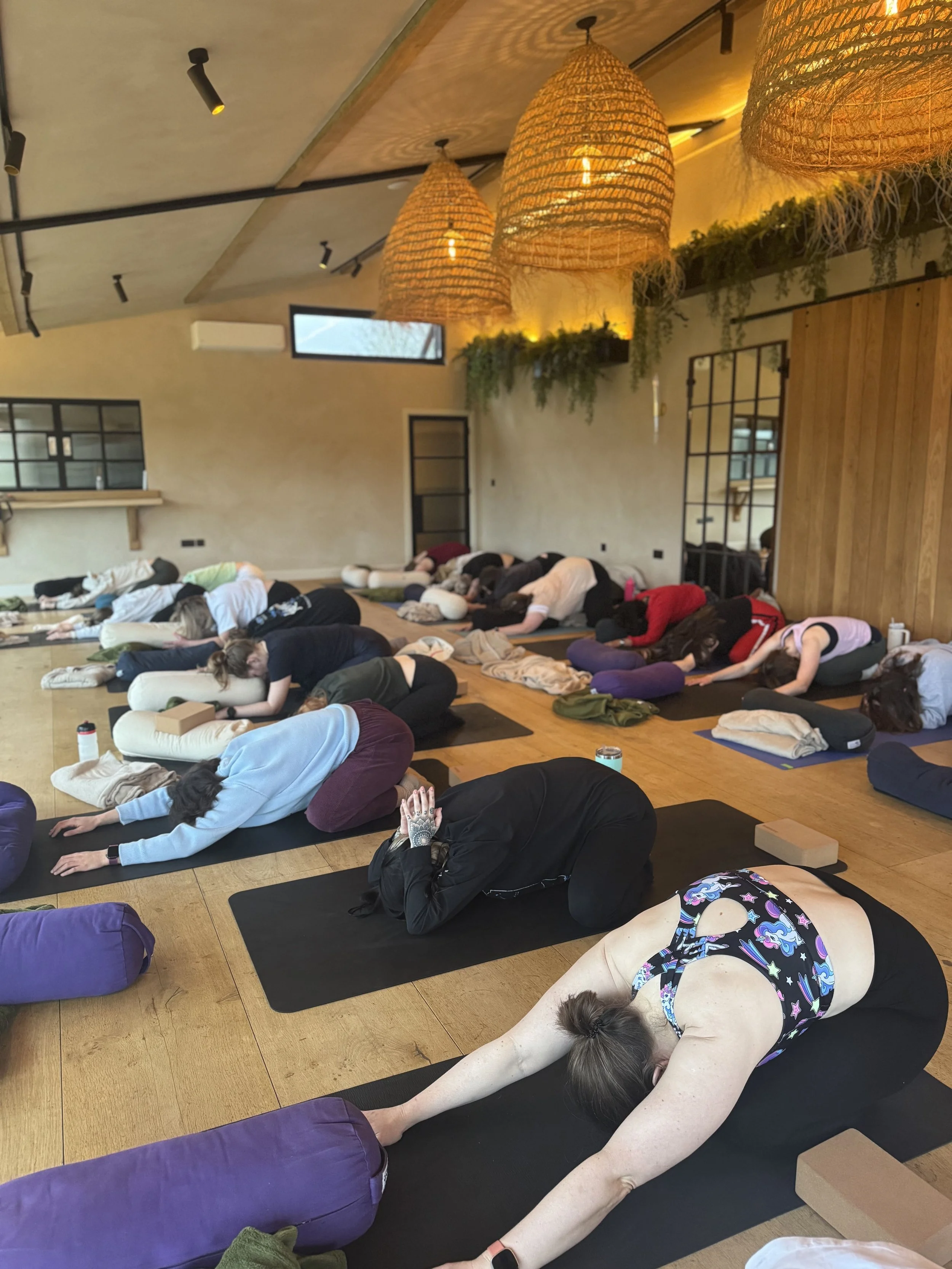 People participating in a yoga or meditation class in a studio with wooden and beige walls, large woven pendant lights, and green plants, practicing forward bends with some using bolsters and yoga mats.