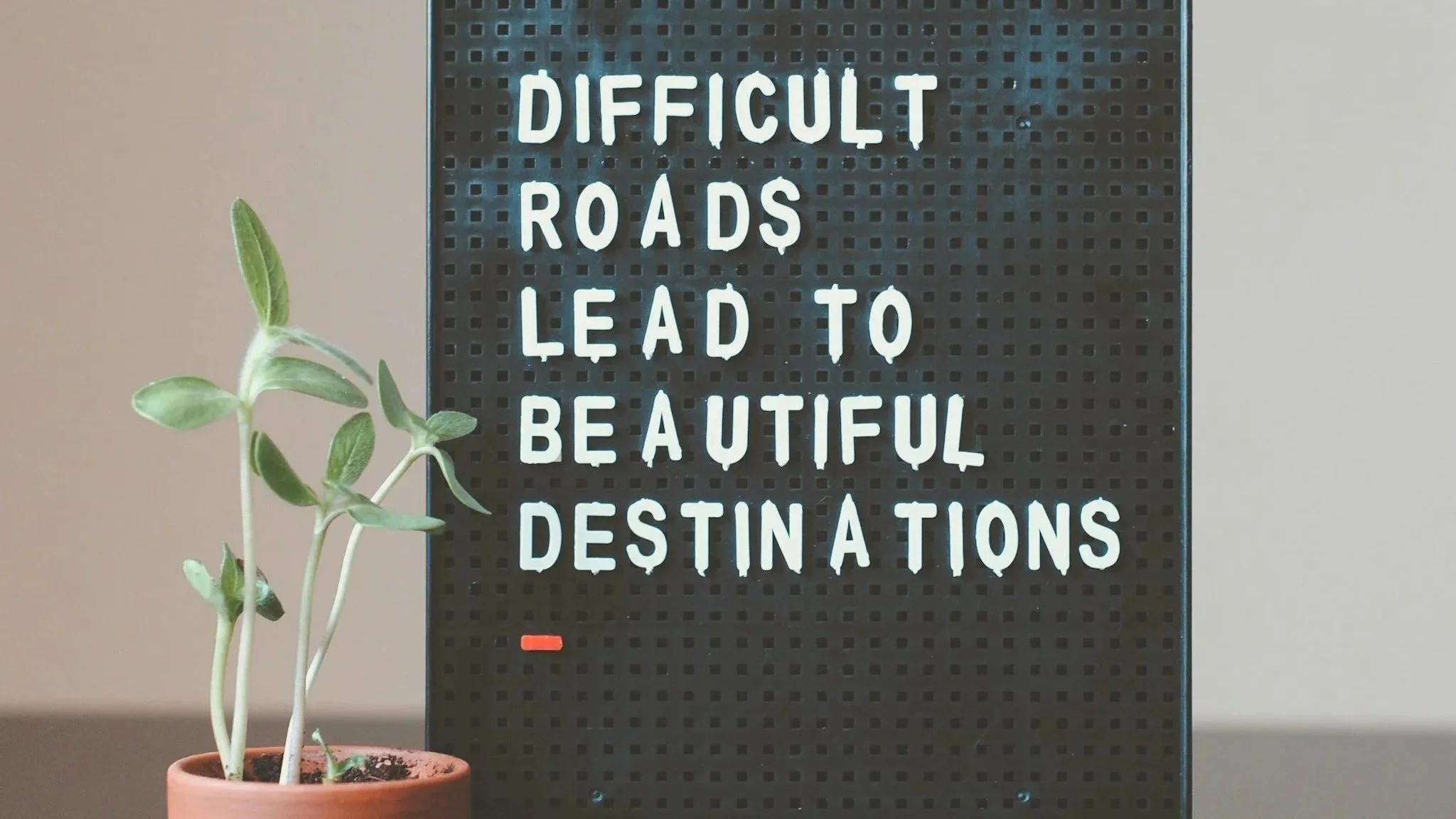 A potted plant with green leaves sitting next to a black letter board with a motivational message about difficult roads leading to beautiful destinations.