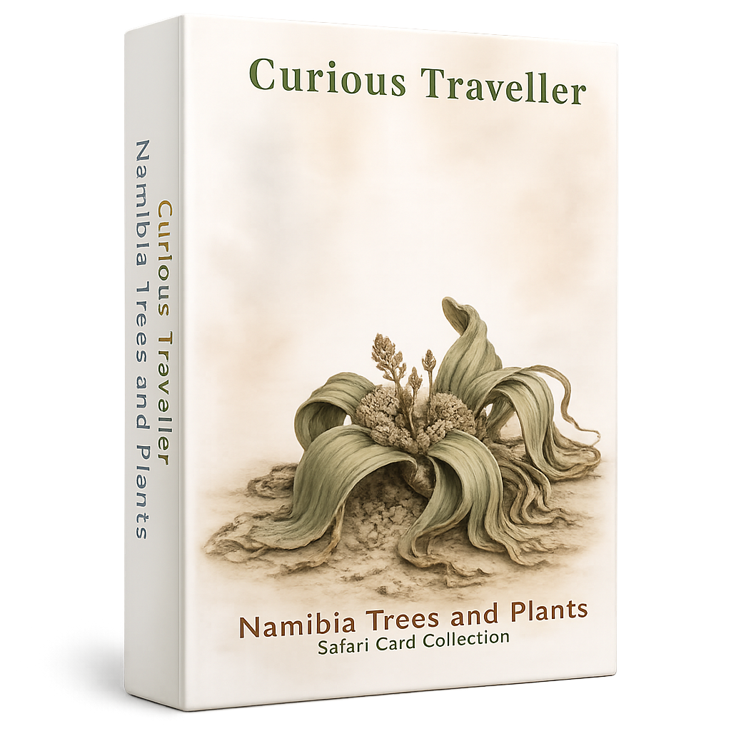 WildSoulAfrica-Cards- CuriousTraveller