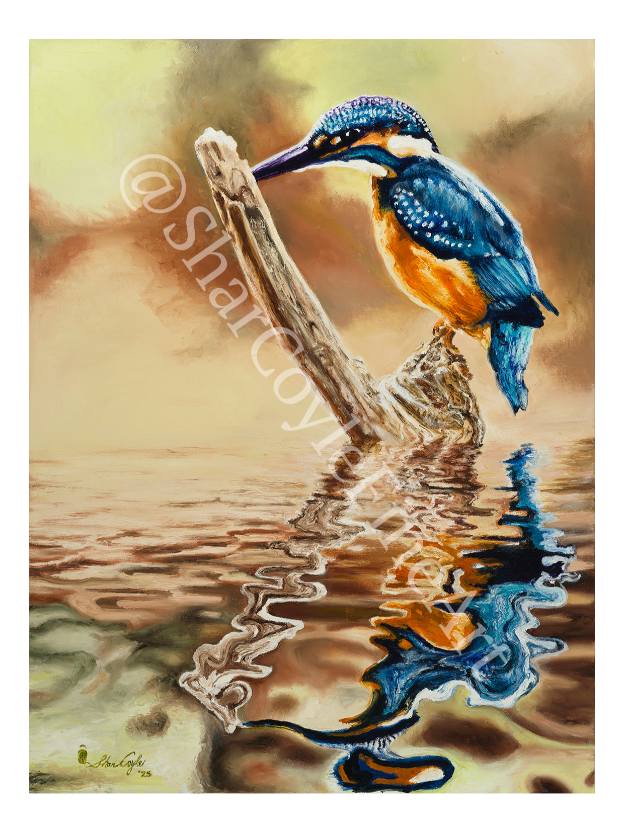 Kingfisher Reflections