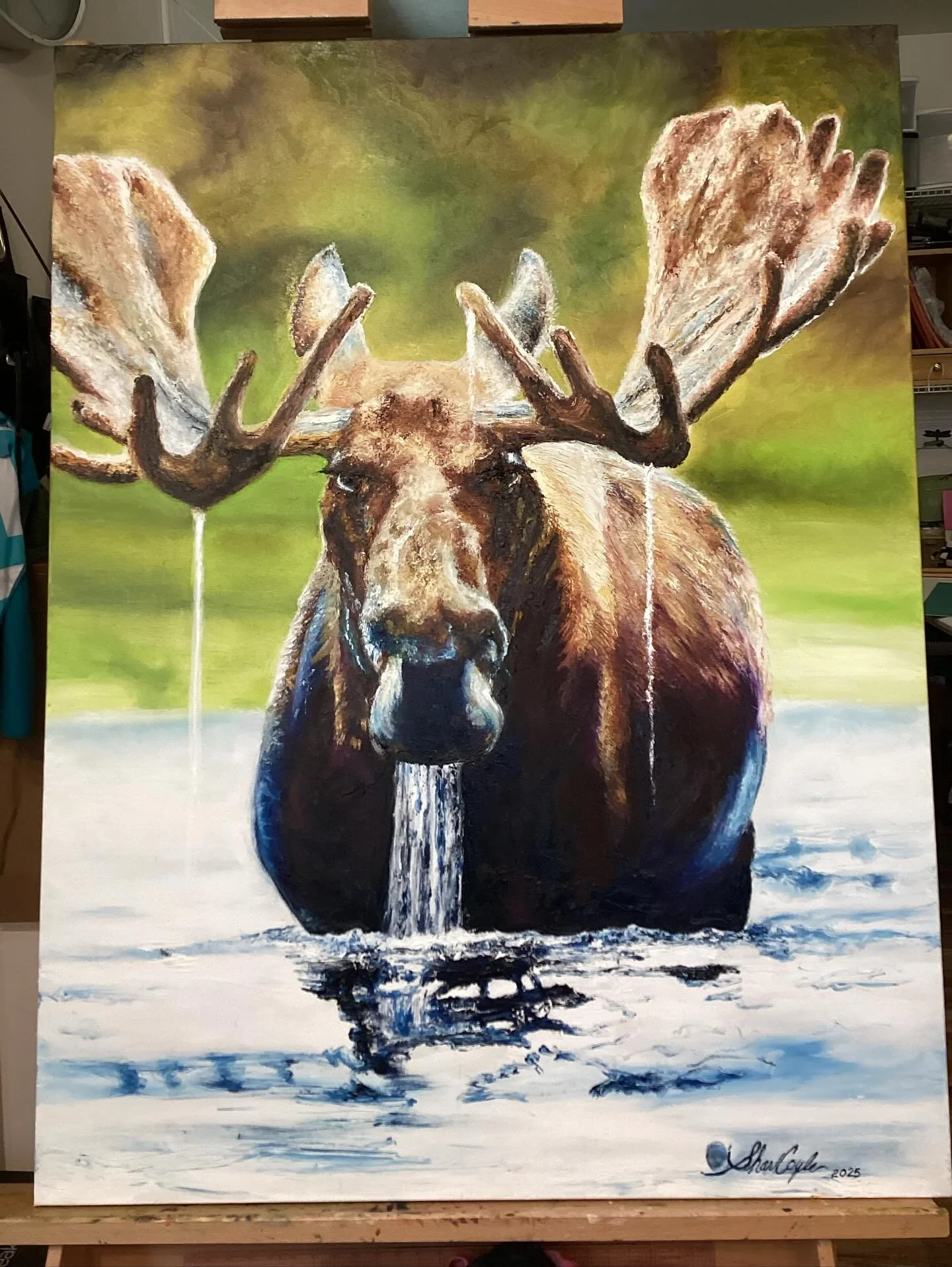 The Moose 
Prints available upon request
Original sold 
#art #moose #originalartwork #artist #fingerpainting #video #pic #beautiful #animal #umberella