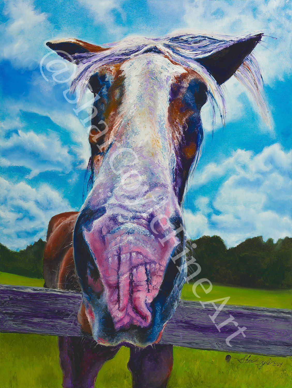 Donald the Horse