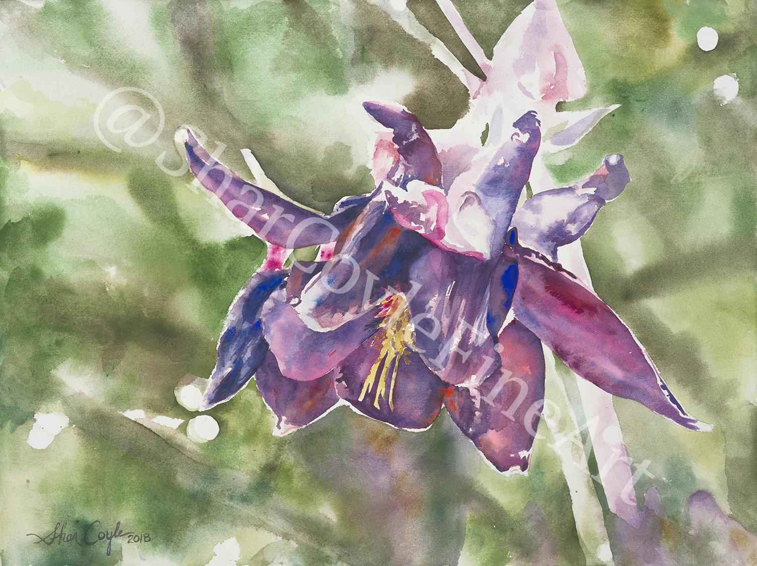 Columbine