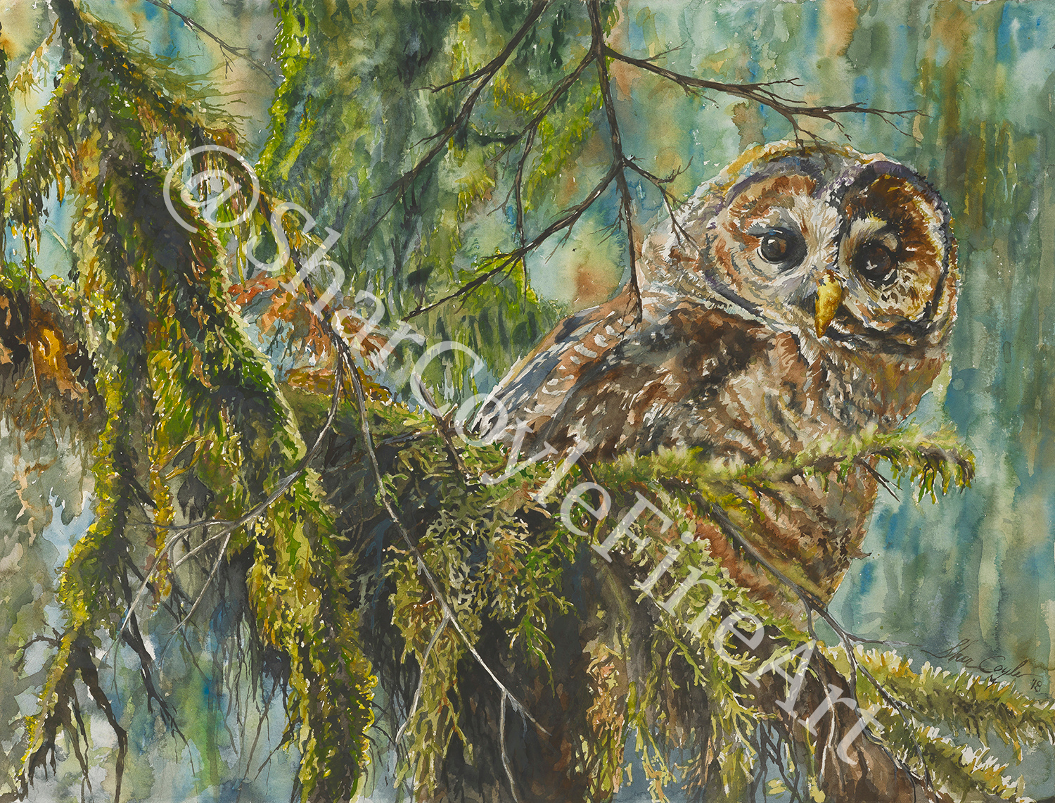Robert Bateman Owl
